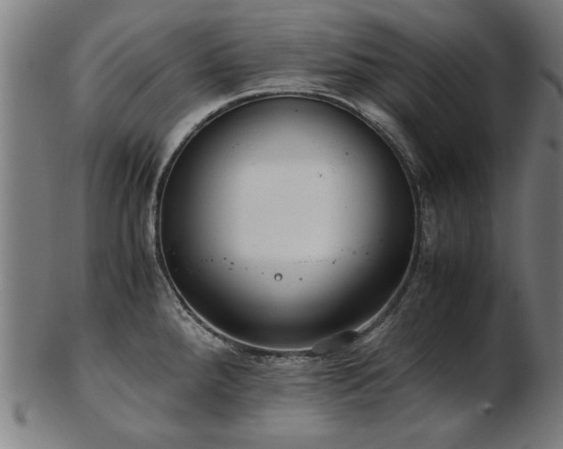 X0000103431288200809121321