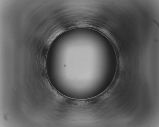 X0000103431289200809121321
