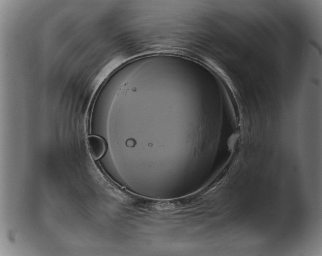 X0000103431291200809121321