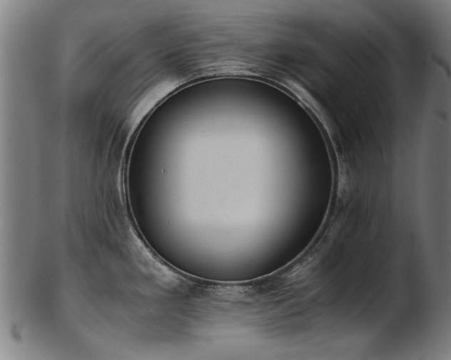 X0000103431293200809121321