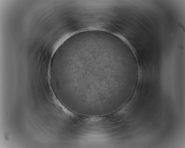 X0000103431294200809121321