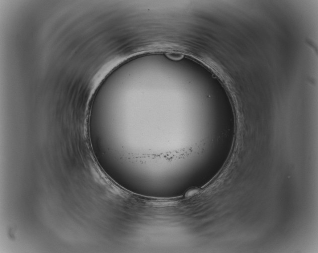 X0000103431296200809121321