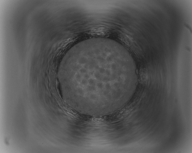 X0000103431297200809121320