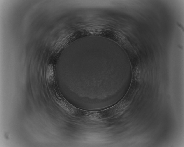 X0000103431298200809121320