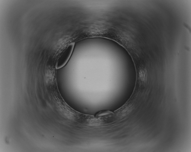 X0000103431300200809121320