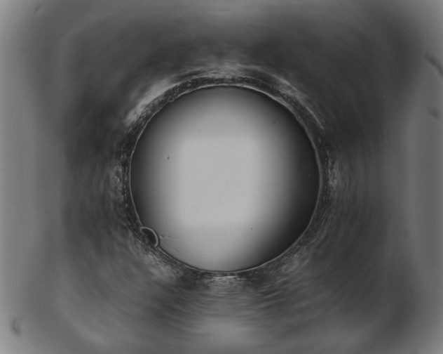 X0000103431304200809121320