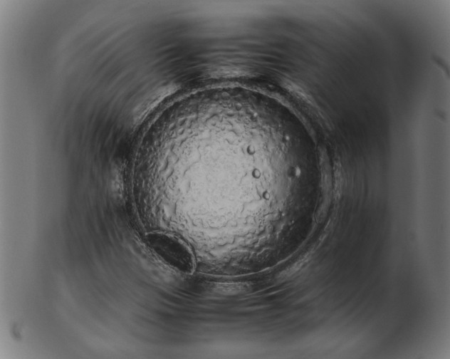X0000103431305200809121320