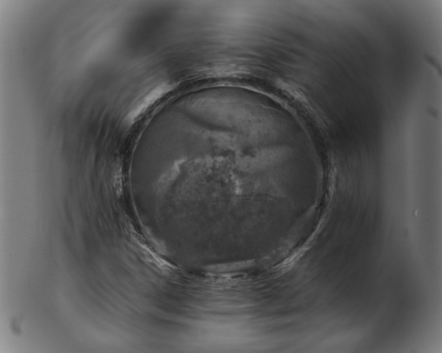 X0000103431306200809121320