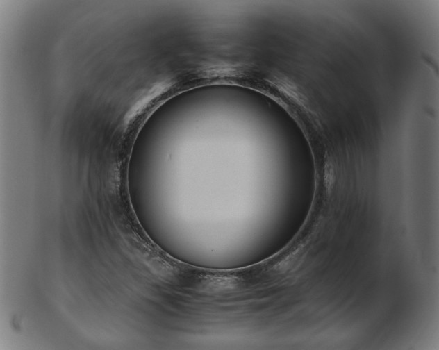 X0000103431309200809121320