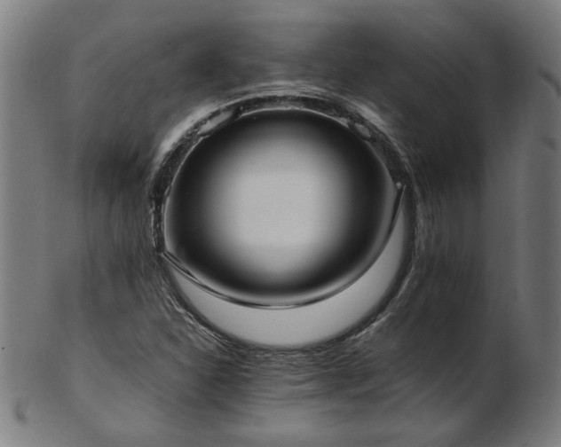 X0000103431310200809121320
