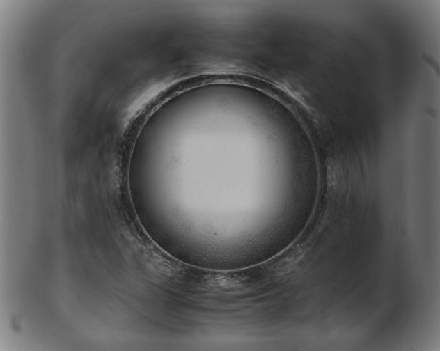 X0000103431311200809121321