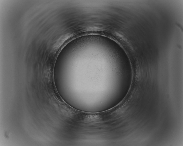 X0000103431313200809121321