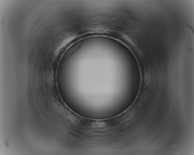 X0000103431315200809121321