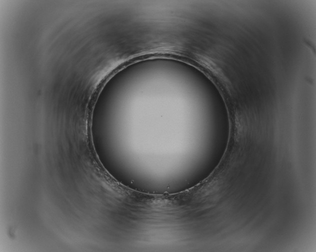 X0000103431316200809121321