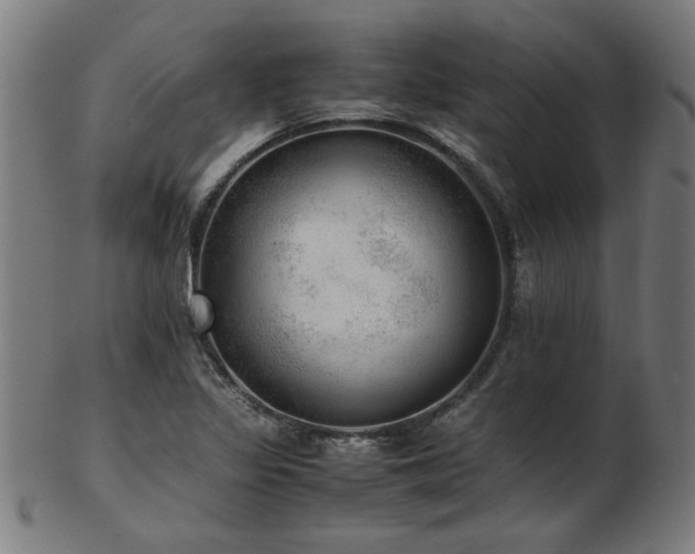 X0000103431317200809121321