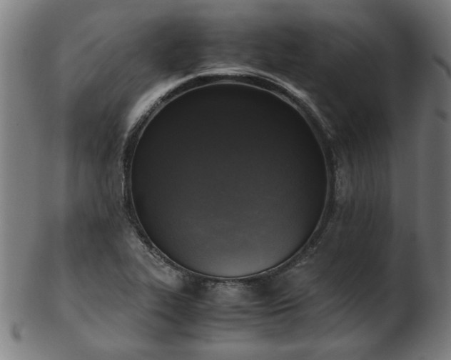 X0000103431319200809121321