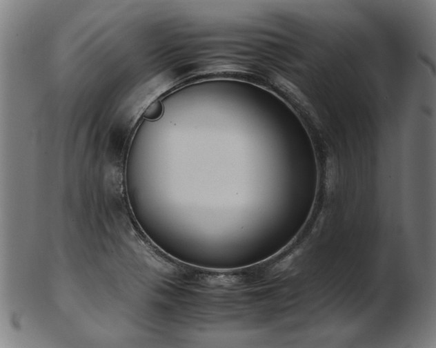 X0000103431321200809121321