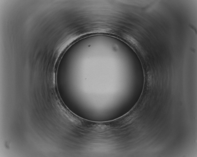 X0000103431324200809121321