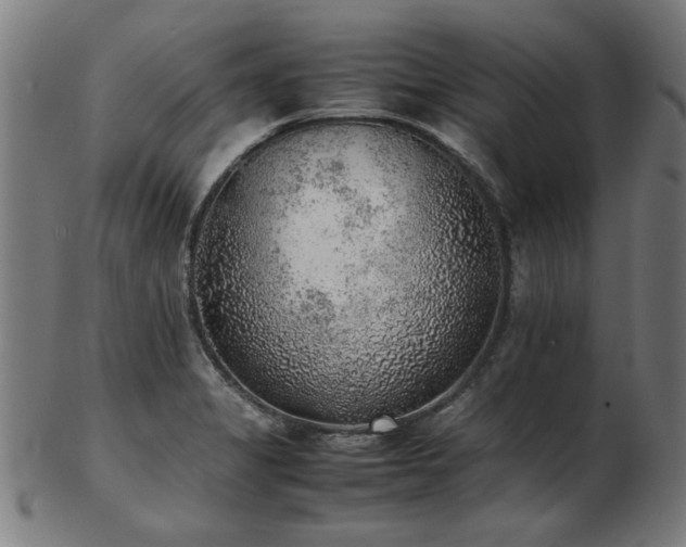X0000103431325200809121321
