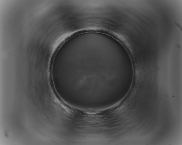 X0000103431327200809121321
