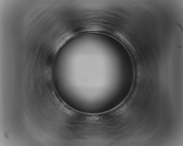 X0000103431329200809121321
