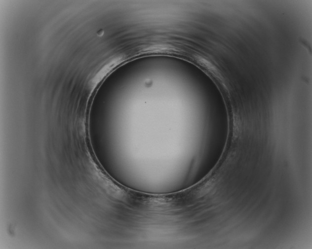 X0000103431330200809121321