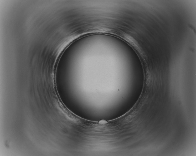 X0000103431332200809121321