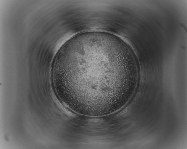 X0000103431333200809121321