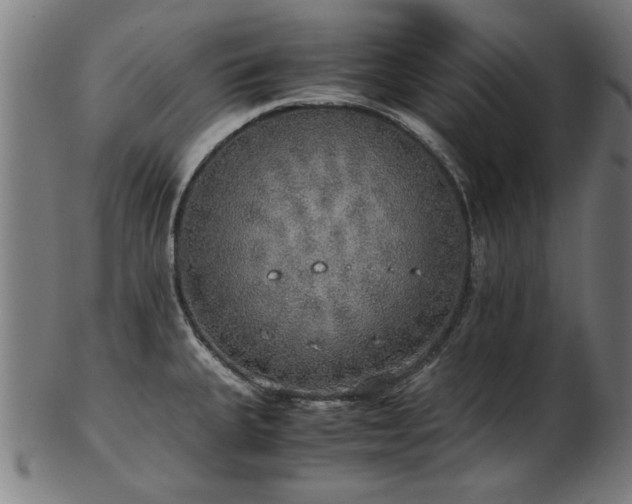 X0000103431335200809121321