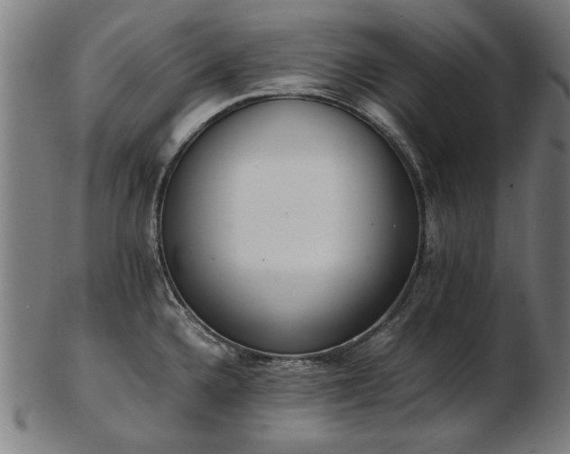 X0000103431336200809121321