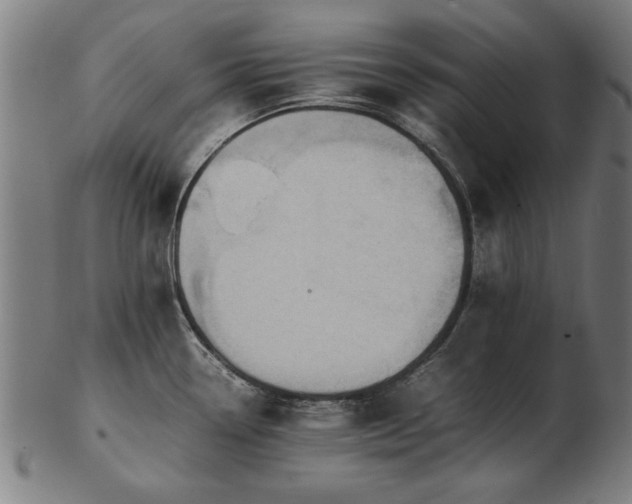 X0000103431338200809121321