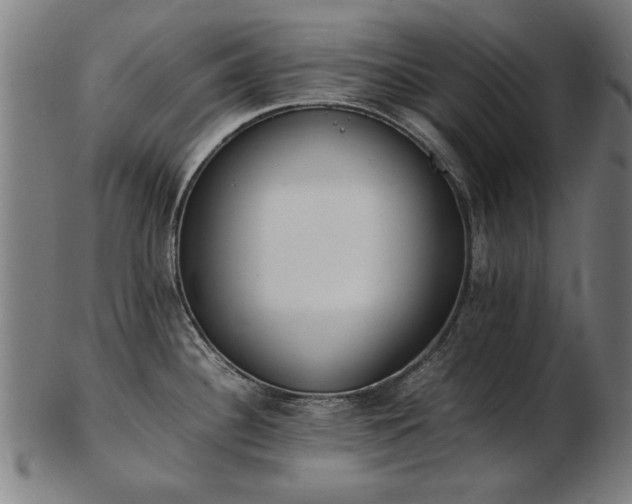 X0000103431340200809121321