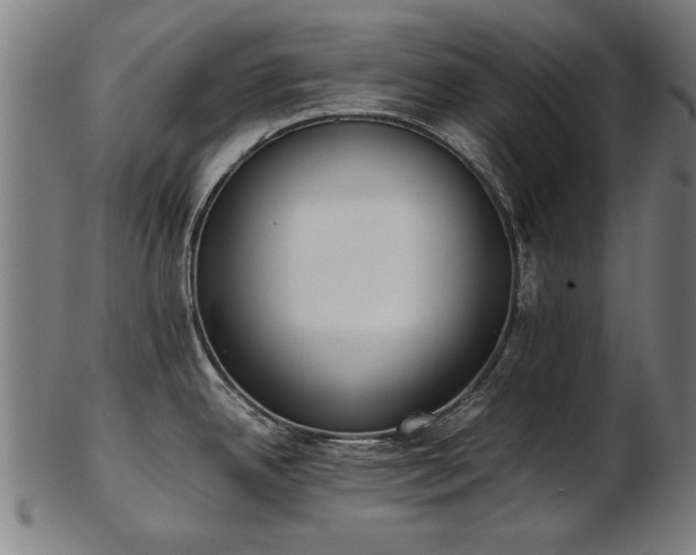 X0000103431342200809121321