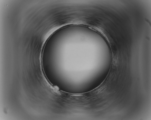 X0000103431343200809121321