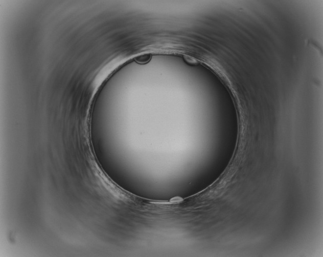 X0000103431344200809121321