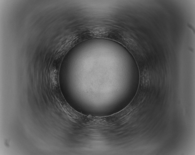 X0000103431346200809121320
