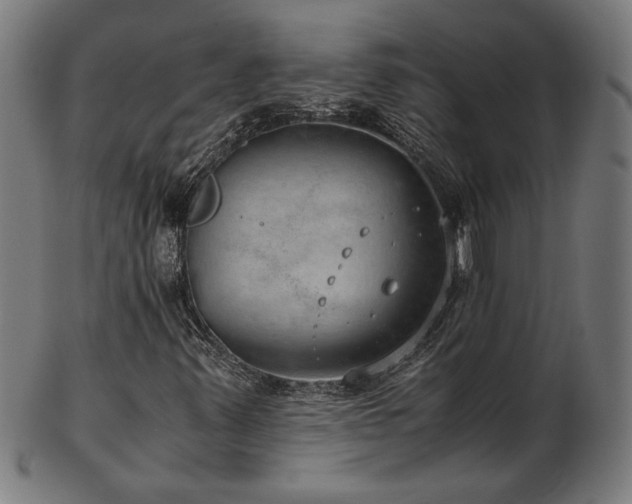 X0000103431347200809121320