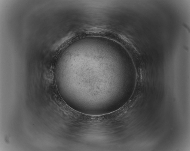 X0000103431350200809121320