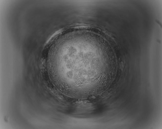 X0000103431351200809121320