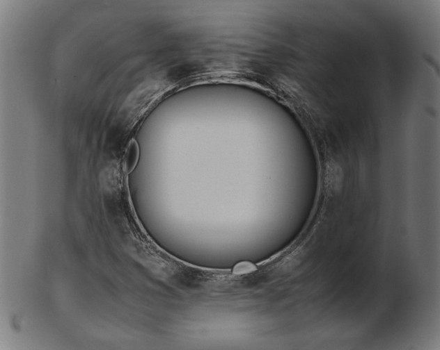 X0000103431353200809121320