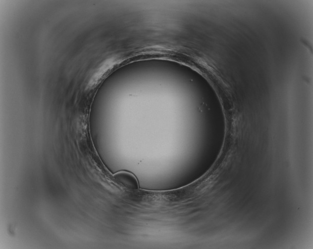 X0000103431355200809121320