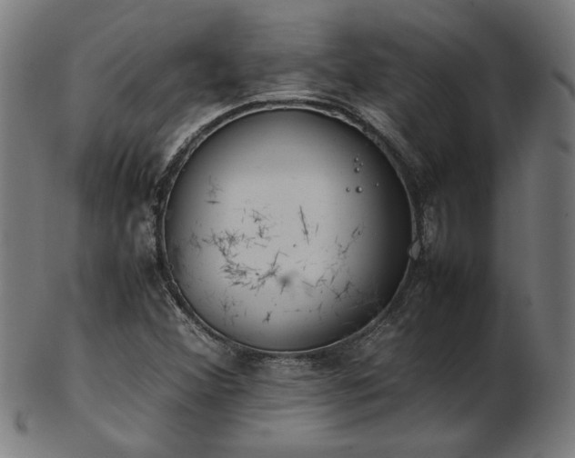 X0000103431356200809121320
