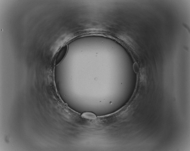 X0000103431357200809121320