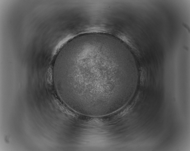 X0000103431358200809121320