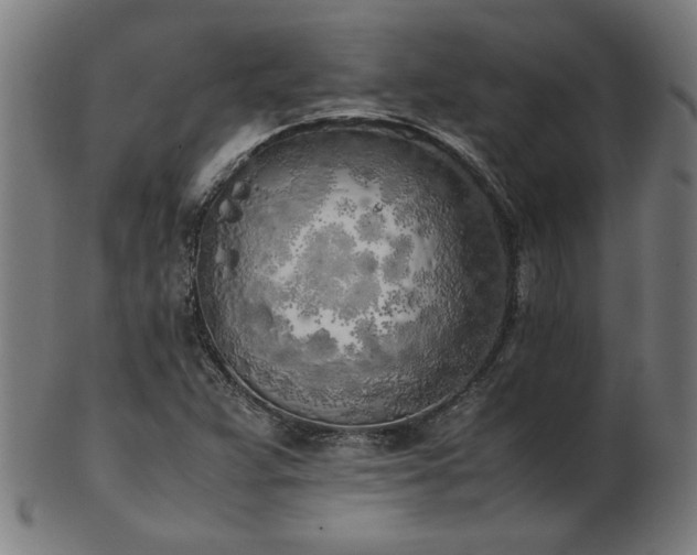 X0000103431359200809121320