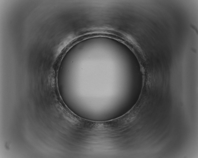X0000103431360200809121320