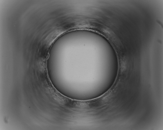 X0000103431361200809121320