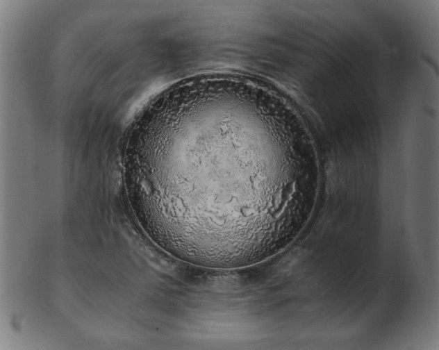 X0000103431363200809121320