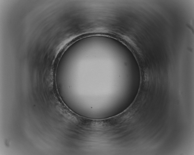 X0000103431364200809121320