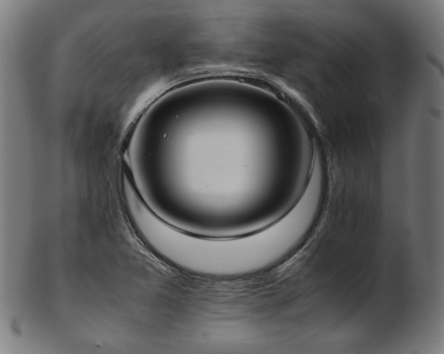 X0000103431365200809121320